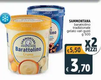 Deco Supermercati Sammontana barattolino tradizionale gelato vari gusti - 2 pezzi offerta