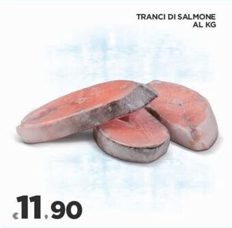 Deco Superfreddo Tranci di salmone offerta