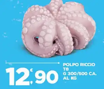 Deco Superfreddo Polpo riccio offerta