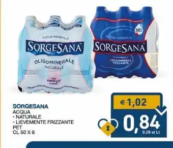 SeBón Supermercati Sorgesana acqua naturale lievemente frizzante pet offerta