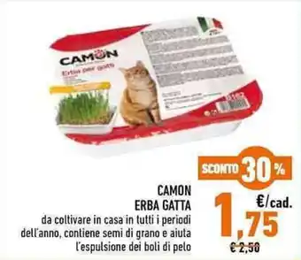 Pet Store Conad Camon Erba Gatta offerta