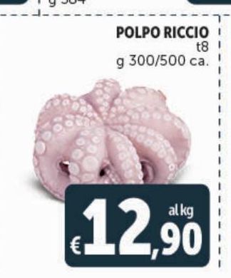 Deco Maxistore Polpo riccio offerta