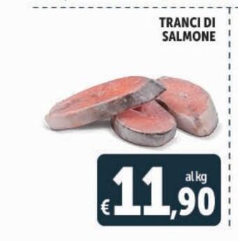 Deco Maxistore Tranci di salmone offerta