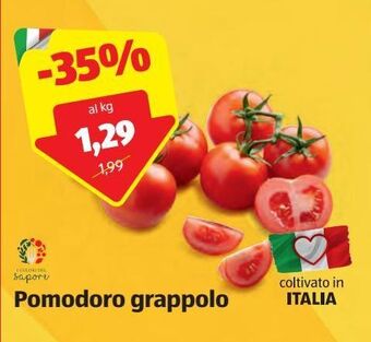 ALDI Pomodoro grappolo offerta