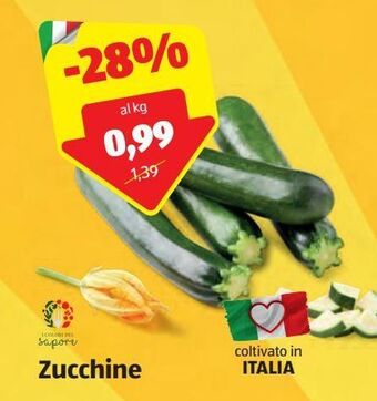 ALDI Zucchine offerta