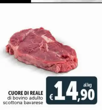 Deco Superstore Cuore di reale di bovino adulto offerta