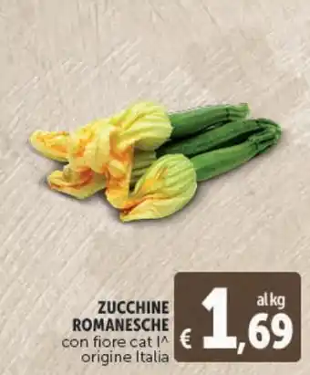 Deco Superstore Zucchine romanesche con fiore offerta