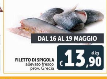 Filetto di spigola