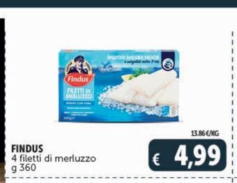 Deco Superstore Findus 4 filetti di merluzzo offerta