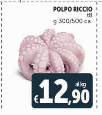Deco Superstore Polpo riccio offerta
