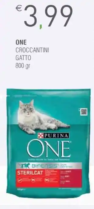 Shun Fa One Croccantini Gatto 800 gr offerta