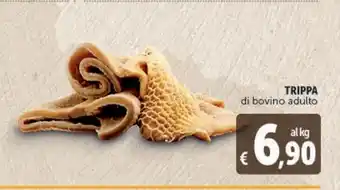 Deco Maxistore Trippa di bovino adulto offerta