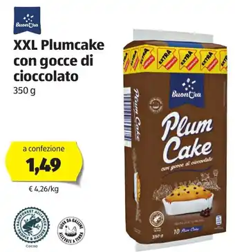 ALDI XXL Plumcake Con Gocce Cioccolato 350g offerta