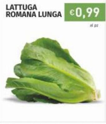Lattuga Romana Lunga