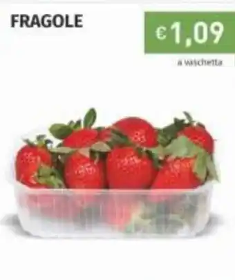 Prezzemolo e Vitale Fragole offerta