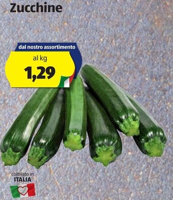 ALDI Zucchine offerta