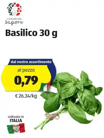Basilico 30g