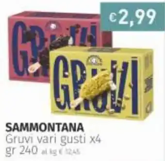 Prezzemolo e Vitale Sammontana Gruvi vari gusti x4 240 gr offerta