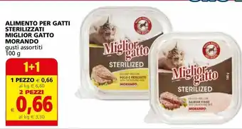 Cibo per gatti sterilizzati miglior gatto morando