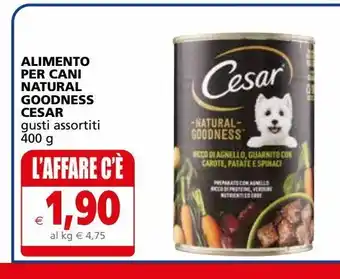 Cibo per cani natural goodness cesar
