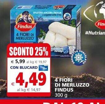 Il Gigante 4 fiori di merluzzo findus offerta