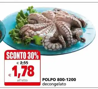Il Gigante Polpo 800-1200 offerta