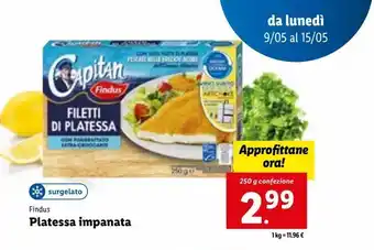 Lidl Platessa impanata findus 250 g offerta