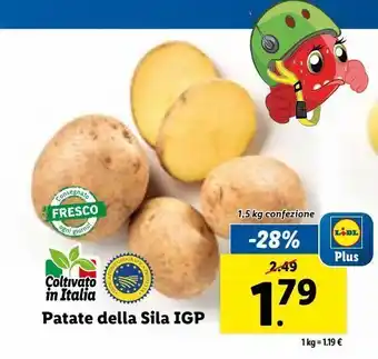 Lidl Patate della sile igp 1.5 kg offerta