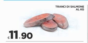Tranci di salmone