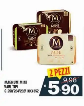 Magnum mini vari tipi