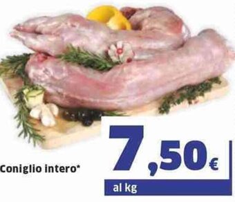 Sigma Coniglio intero offerta
