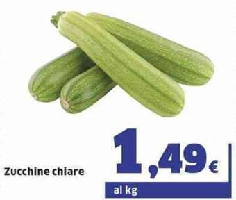 Sigma Zucchine chiare offerta