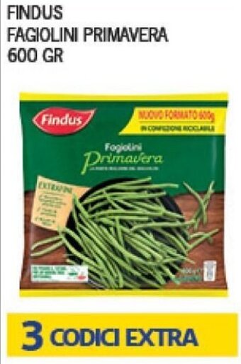 Euroesse Findus Fagiolini Primavera 600 gr offerta