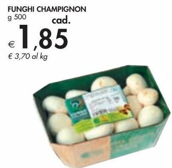 Bennet Funghi champignon offerta