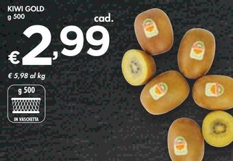 Bennet Kiwi gold offerta