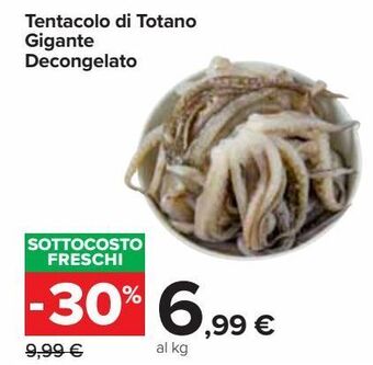 Tentacolo di totano gigante decongelato