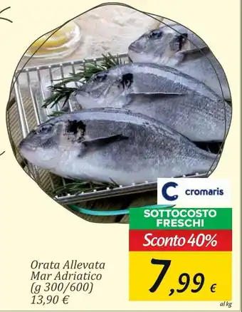 Carrefour Market Orata allevata mar adriatico offerta