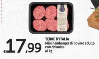 Carrefour Market Terre D' Italia Mini Hamburger di Bovino Adulto con Chianina offerta