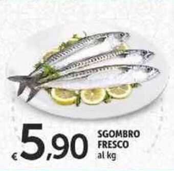 Carrefour Market Sgombro Fresco offerta