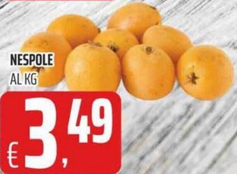 Nespole