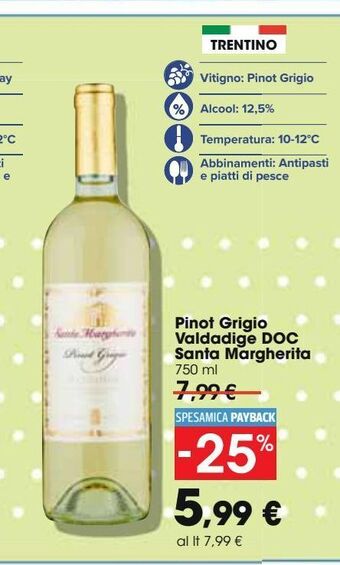 Pinot grigio valdadige doc santa margherita