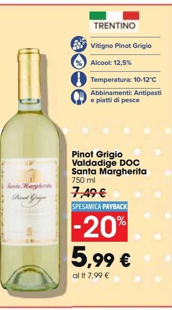 Pinot grigio valdadige doc santa margherita