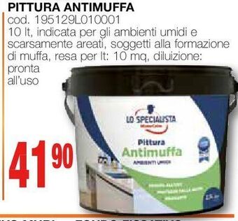 Pittura antimuffa