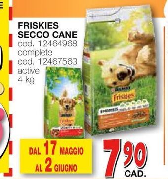 Friskies secco cane