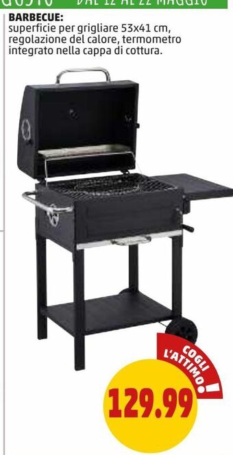 PENNY Barbecue offerta