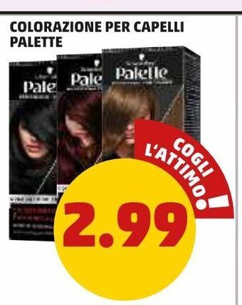 Colorazione per capelli palette