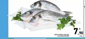 Spazio Conad Orata fresca 300/400 allevato estero al kg offerta