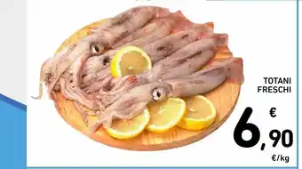 Spazio Conad Totani freschi al kg offerta