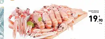 Spazio Conad Scampi freschi 16/20 al kg offerta