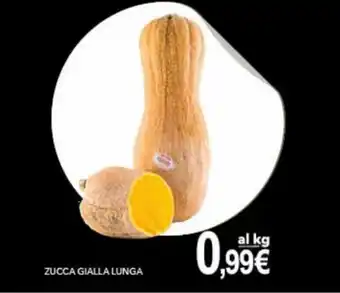 Zucca Gialla Lunga
